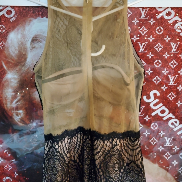 VERY SEXY Morning Mist size 10 Black and Nude  sheer dress 👗 - Picture 2 of 7